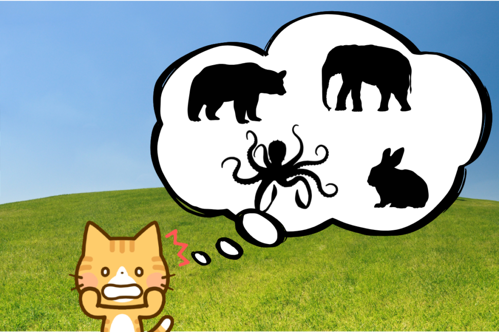 自然界のデフをもった生き物とは?どんな生き物か想像するネコの画像